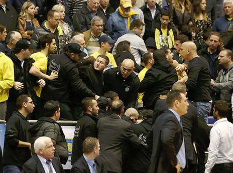 תמונות לא שכיחות בהיכל (אלן שיבר)