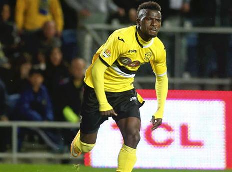 קאיודה. יוזמן לשיחה? (אלן שיבר)