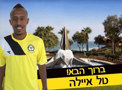 נשאר בצהוב. איילה (האתר הרשמי)