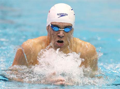 נבו. לא יצא בלי זהב (אלן שיבר)