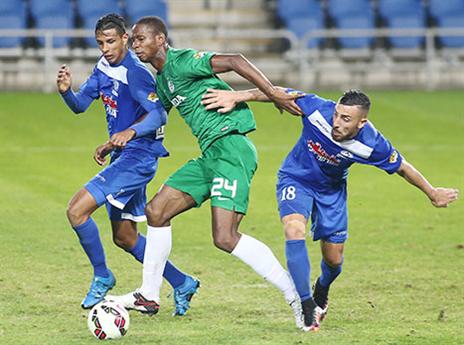אירופה בחיפה. פלט מבסוט מהחיים (אלן שיבר)