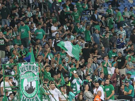 "הקופים הירוקים" קוראים לחיפה לא להתייצב מול הפועל ת"א (יוסי שקל)