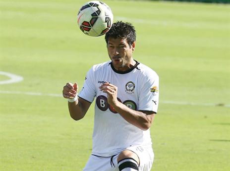 כל שאר הזרים הודיעו שלא ימשיכו. סמיליאניץ' (אלן שיבר)