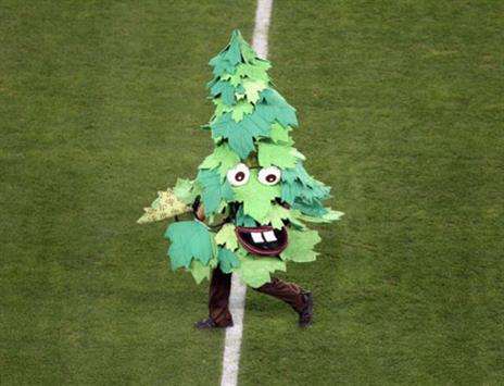העץ מסטנפורד - מוזר, אבל מאד מיוחד (Getty Images)
