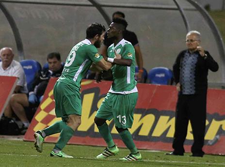 שוקל לא לשחק בשבת. צ'יבוטה כועס (צילום: אלן שיבר)