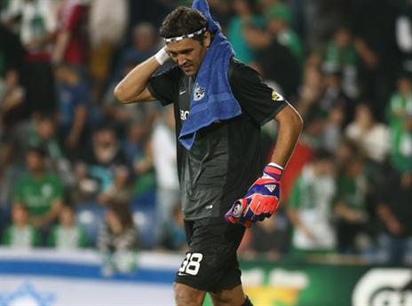 סטויקוביץ' בסימן שאלה (אלן שיבר)