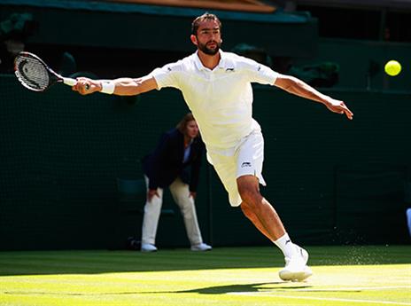 צ'יליץ' כבר הוליך 0:2 (getty)
