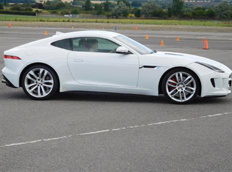 (צילום: טל אבן)