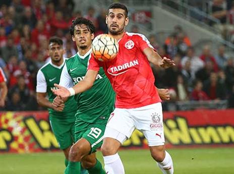 גורדנה. גם הוא עשוי לשחק (צילום: אלן שיבר)