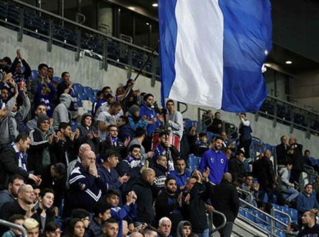 (צילום: אלן שיבר)