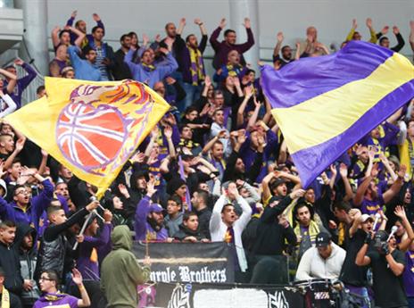 אוהדי חולון. חזרו מאוכזבים (דני מרון)