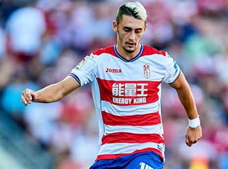 סיכוי נמוך שיגיע. אצילי (אלן שיבר)