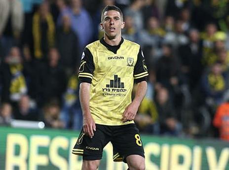 ורד. לא מבין על מה המהומה (אלן שיבר)