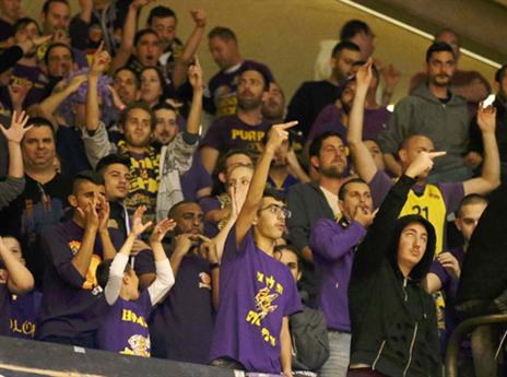 חגיגה סגולה בהיכל (צילום: אלן שיבר)