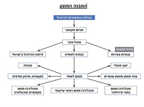 המבנה הארגוני שהומלץ
