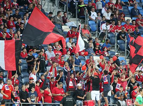 אוהדי הפועל חיפה הולכים אחרי קבוצתם (יוסי שקל)