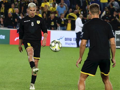 ורד. מרוב חימום נהיה לו חום (אלן שיבר)