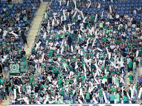 הקהל הירוק יראה ניצחון שני בבית? (צילום: דני מרון)