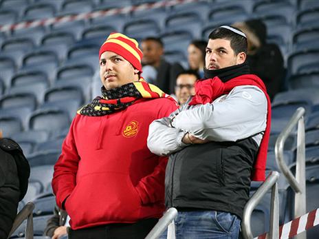 (אודי ציטיאט)