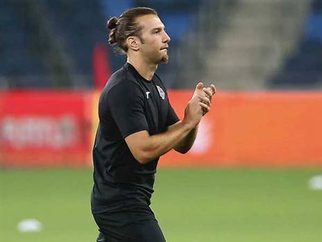 מאמצים להכשיר את גולדברג (אלן שיבר)