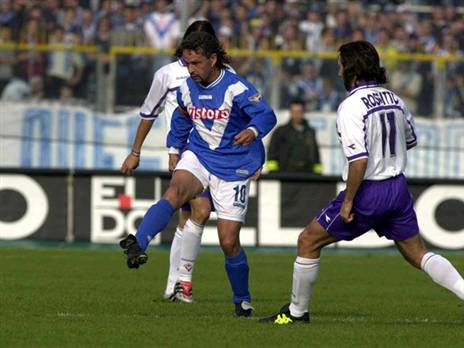 באג'יו. פרח בעמדת הטרקוורטיסטה (Getty)