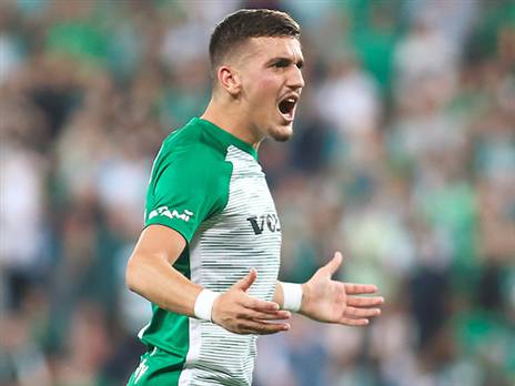 שועה בספק (אלן שיבר)