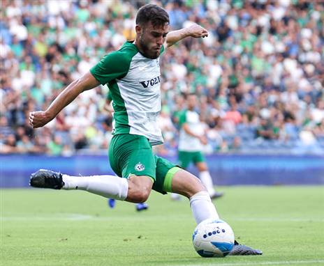 בדרך לחוזה חדש. ארד (צילום: מאור אלקסלסי)