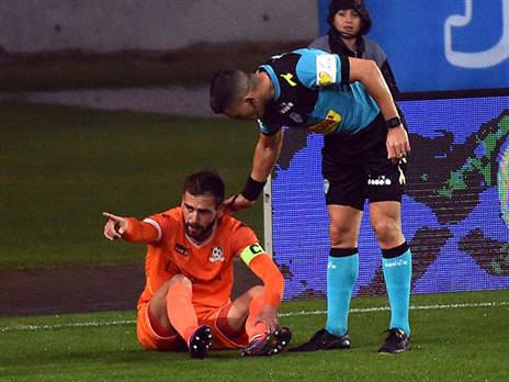 שטיין עדיין לא כשיר (ברני ארדוב)