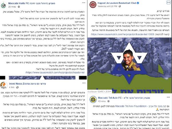 חלק מהקבוצות שתמכו