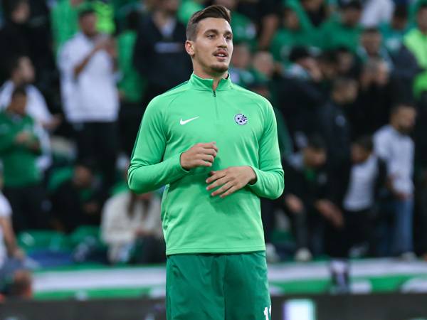 (מאור אלקסלסי)