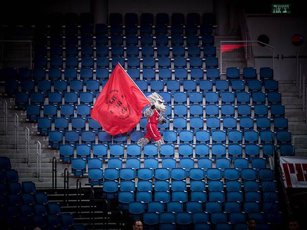 יציע ריק. ככה זה ייראה בזמן הקרוב (אלן שיבר)
