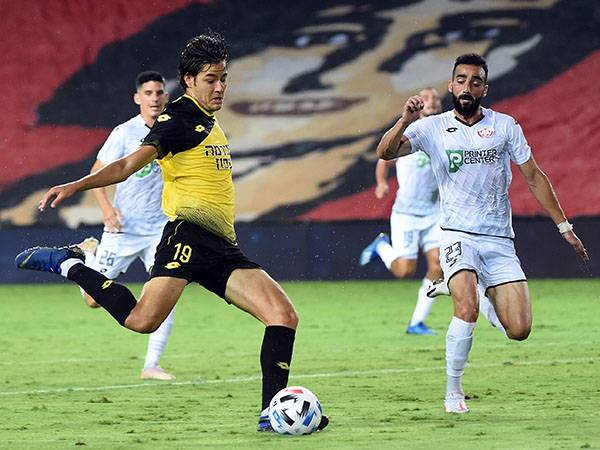 אשכנזי בדרך החוצה (ברני ארדוב)