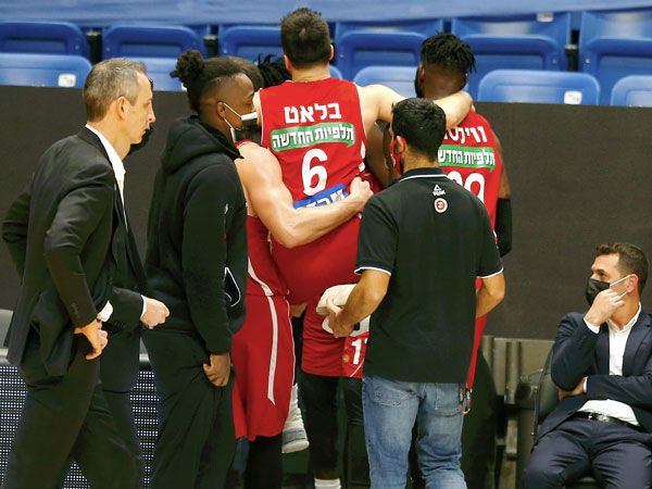 (צילום: אלן שיבר)