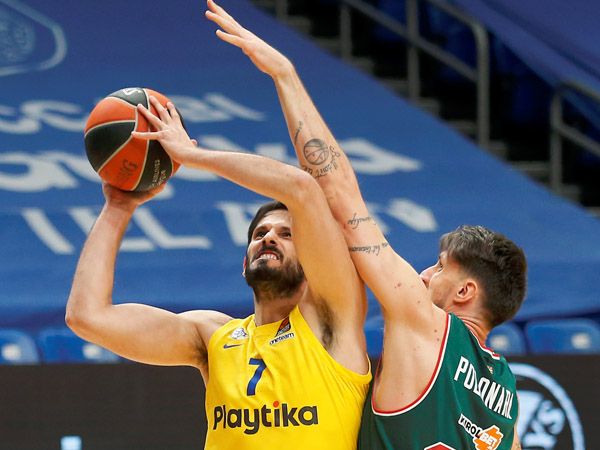 (צילום: אלן שיבר)