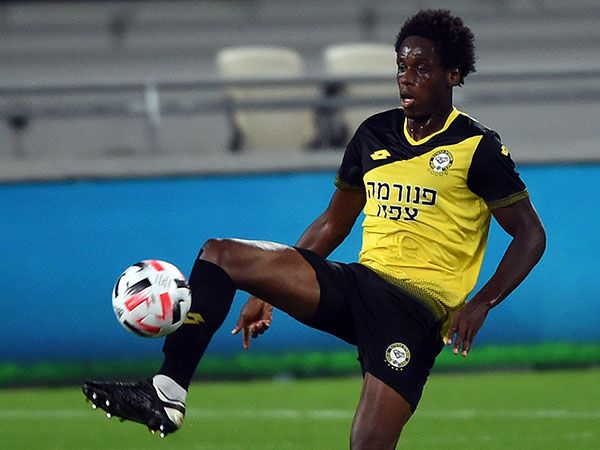 (ברני ארדוב)