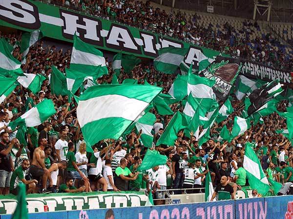 בחיפה מצפים לתמיכת הקהל (אלן שיבר)