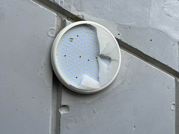 הוונדליזם בבלומפילד