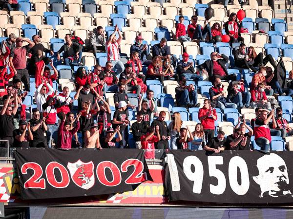 (מאור אלקסלסי)