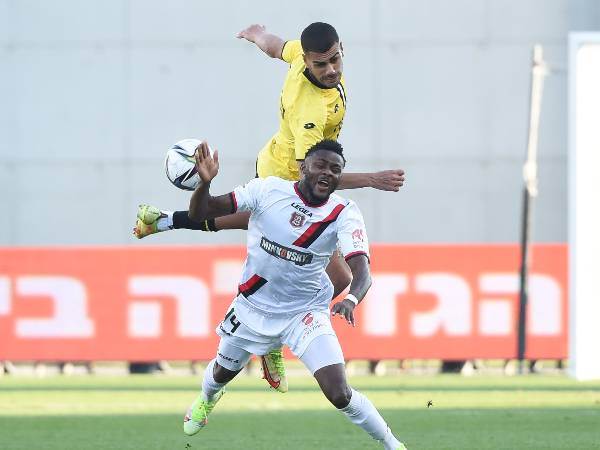 (ברני ארדוב)