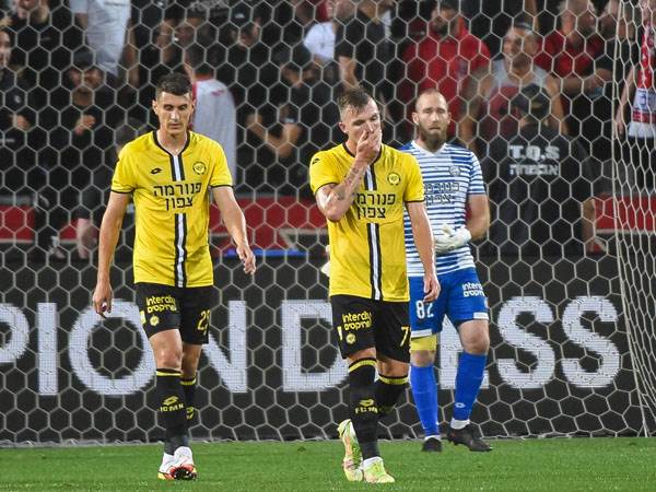 (ברני ארדוב)