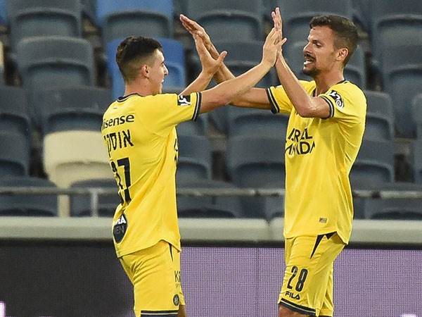 שביעות רצון מהניצחון (ברני ארדוב)