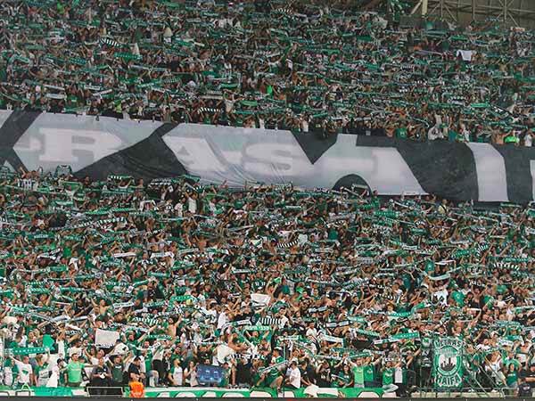 יוכלו לצפות בגמר גם ברוממה (אלן שיבר)