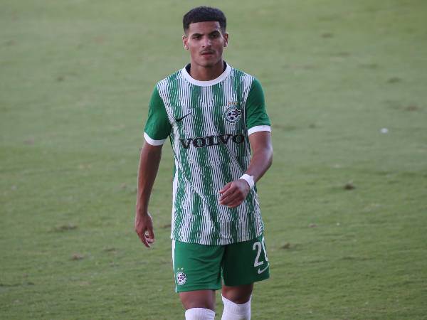 פערי הרמות בלטו (אודי ציטיאט)