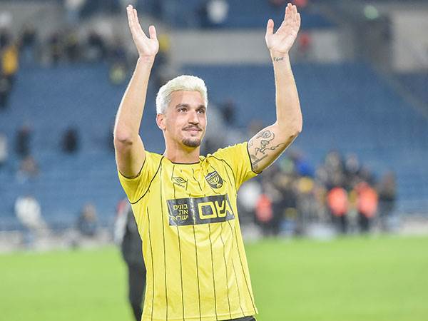 שועה. ניצוצות של הבנה (ברני ארדוב)