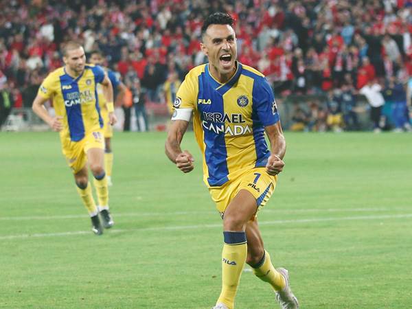 זהבי שם את זה ברשת (אלן שיבר)