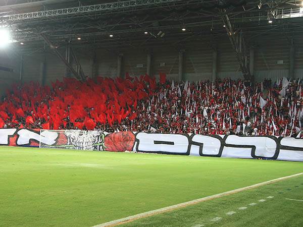 קרב גדול בפתח (אלן שיבר)