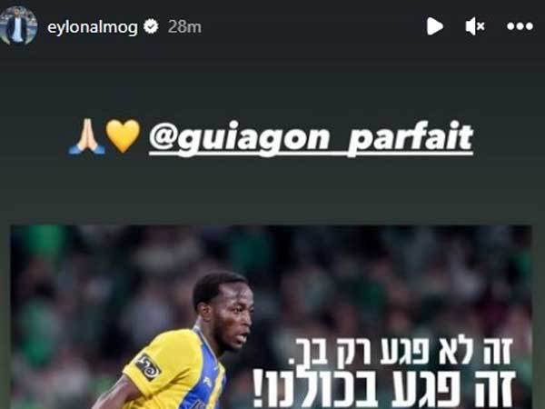 איילון אלמוג