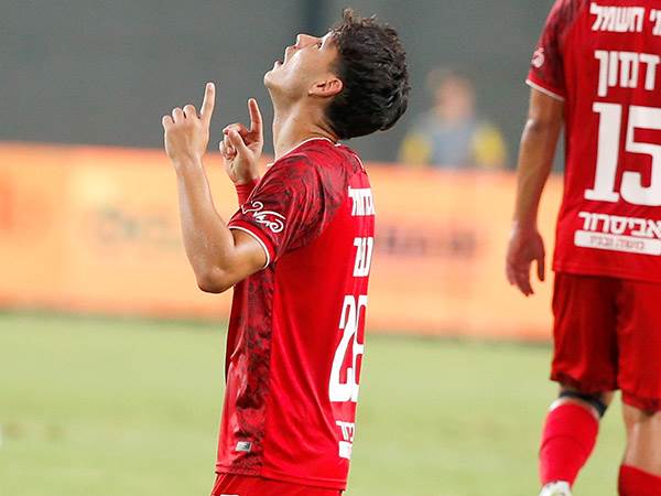 ספר. לא בעניינים (אלן שיבר)