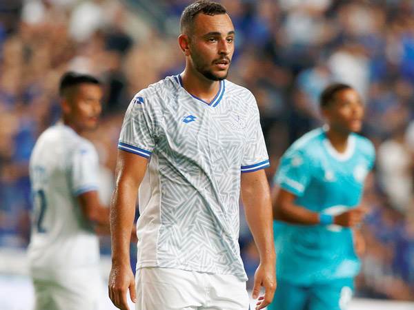 (צילום: אלן שיבר)