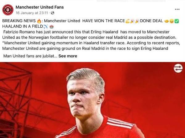 הפייק המדובר על הולאנד